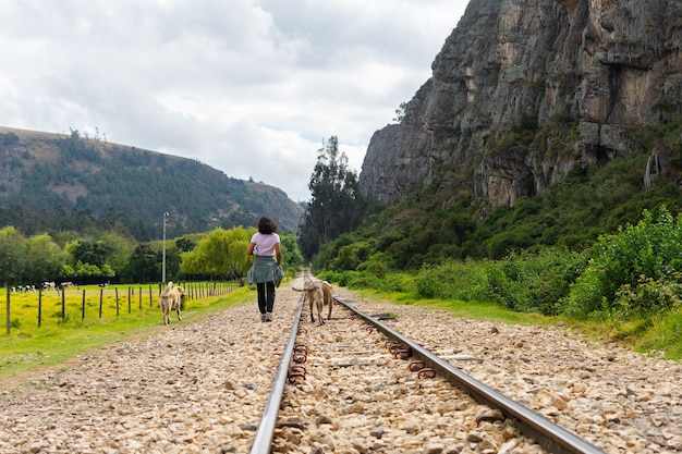 Mujer irreconocible caminando con dos perros, a lo largo de un ferrocarril con una pared de roca en el fondo