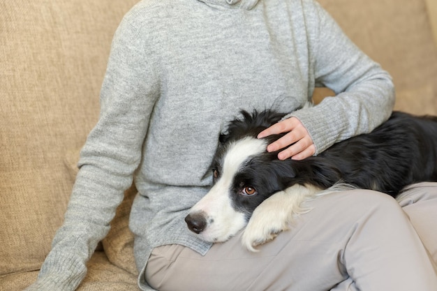 Mujer irreconocible jugando con lindo cachorro border collie en el sofá en casa interior Dueño niña acariciando sosteniendo perro amigo sentado en el sofá Amor por las mascotas concepto de equipo de apoyo de amistad