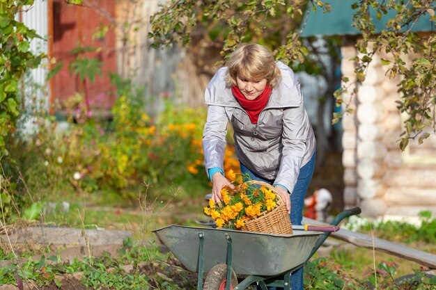 Una mujer en el jardín de otoño cosecha y elimina la basura.