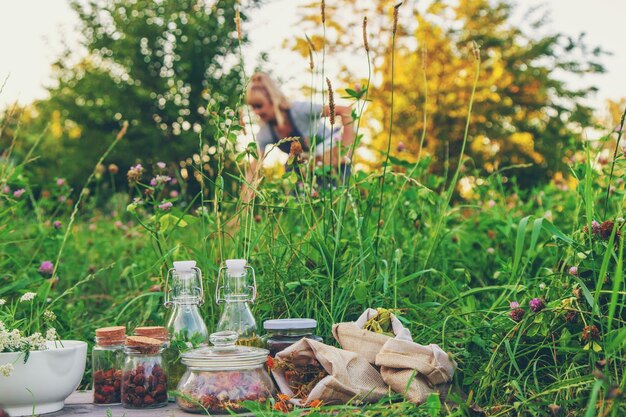 Una mujer en el jardín recoge hierbas medicinales para tinturas y medicina alternativa