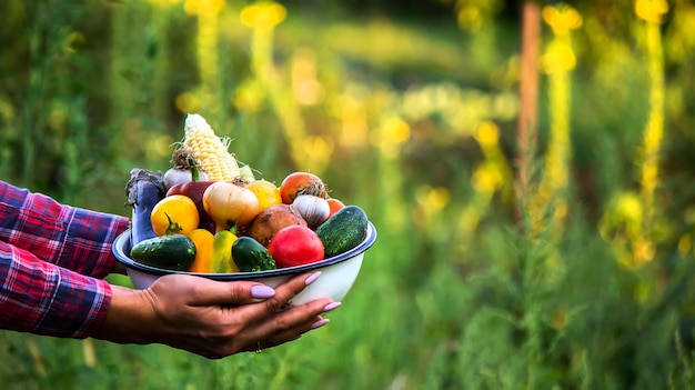 Mujer en el jardín con verduras en sus manos enfoque selectivo