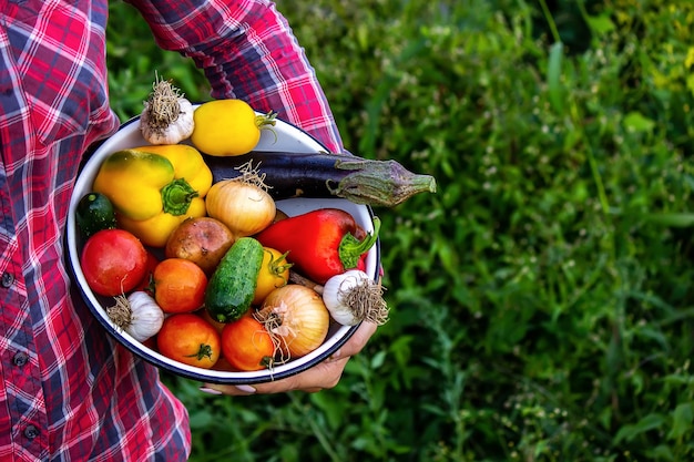 Mujer en el jardín con verduras en sus manos enfoque selectivo