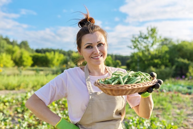 Mujer jardinera agricultora con cesta de habichuelas verdes frescas