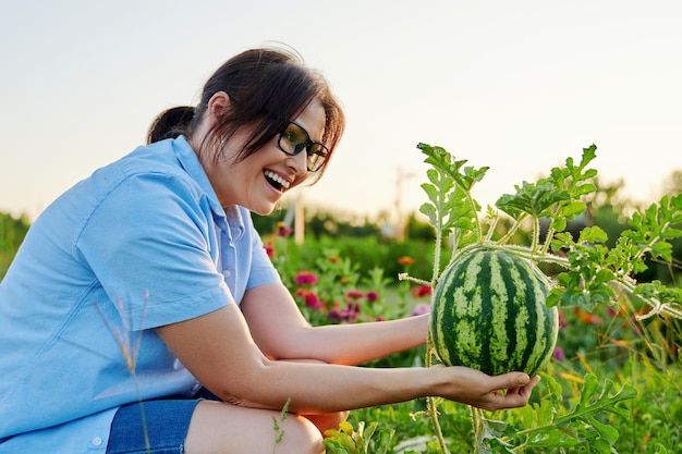 Mujer jardinera con bayas de sandía en sus manos en el jardín de sandía