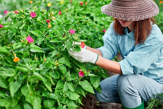 Mujer jardinera en guantes de trabajo planta flores en el jardín de su casa