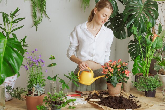 Mujer jardinera macetas nueva planta y Repotting pot para el concepto de cuidado de plantas de plantas de interior