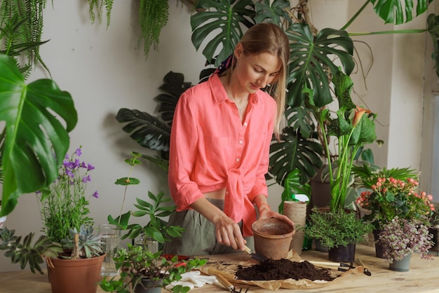 Mujer jardinera macetas nueva planta y Repotting pot para el concepto de cuidado de plantas de plantas de interior