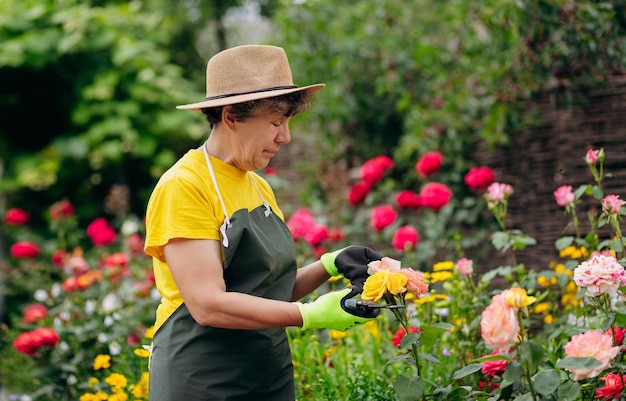 Mujer jardinera senior en un sombrero trabajando en su jardín y recortando flores con tijeras de podar El concepto de jardinería creciendo y cuidando flores y plantas