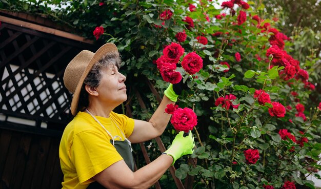 Mujer jardinera senior en un sombrero trabajando en su jardín y recortando flores con tijeras de podar El concepto de jardinería creciendo y cuidando flores y plantas