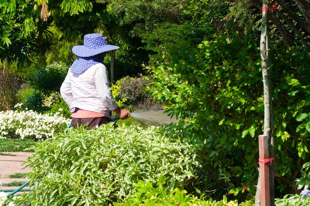 La mujer jardinera sostiene la manguera de riego para las plantas que riegan el jardín de flores al aire libre