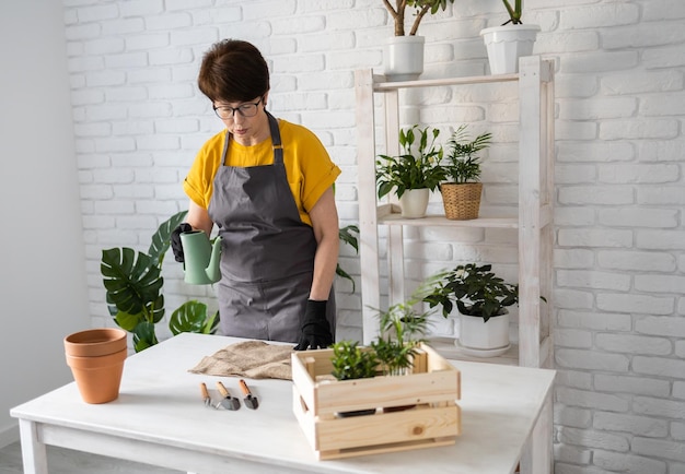 Mujer de jardinería en casa replantando plantas verdes en casa plantas verdes en macetas en casa casa selva floral d