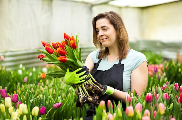 Mujer jardinero floristería sosteniendo un ramo de flores de pie en un invernadero donde se cultivan los tulipanesJardinero sonriente sosteniendo tulipanes con bulbosPrimavera un montón de concepto de flores