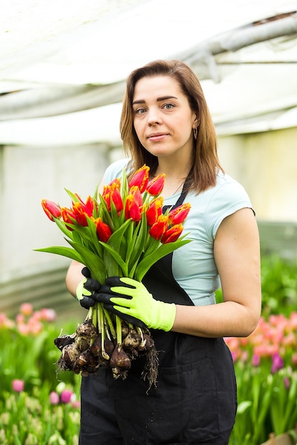 Mujer jardinero floristería sosteniendo un ramo de flores de pie en un invernadero donde se cultivan los tulipanesJardinero sonriente sosteniendo tulipanes con bulbosPrimavera un montón de concepto de flores