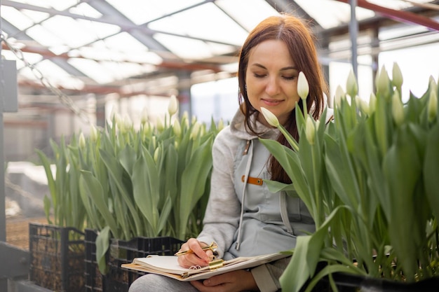 Mujer jardinero oliendo fragancia tulipanes blancos chequeo selección de cultivo creciendo en invernadero