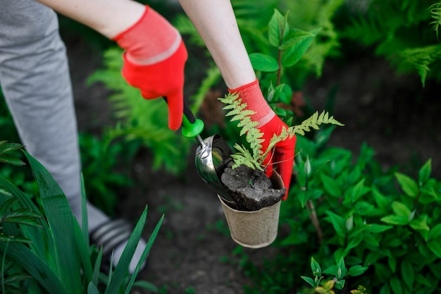 Mujer de jardinero plantar flores en su jardín, mantenimiento de jardines y concepto de hobby.