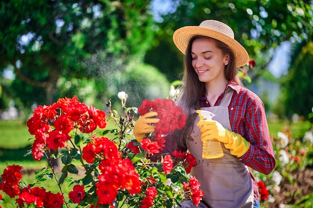 Mujer jardinero regando rosal con botella de spray en el jardín de flores