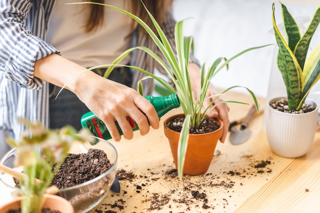 Mujer jardineros fertilizante planta