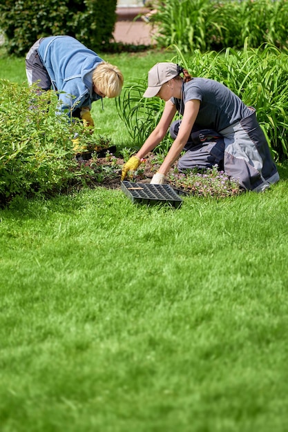 Mujer jardineros plantando flores en el parque soleado