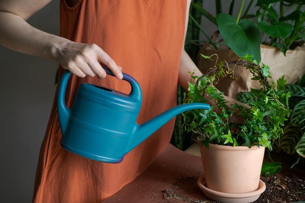 Foto mujer jardineros regando plantas en macetas de cerámica en la mesa concepto de jardín doméstico