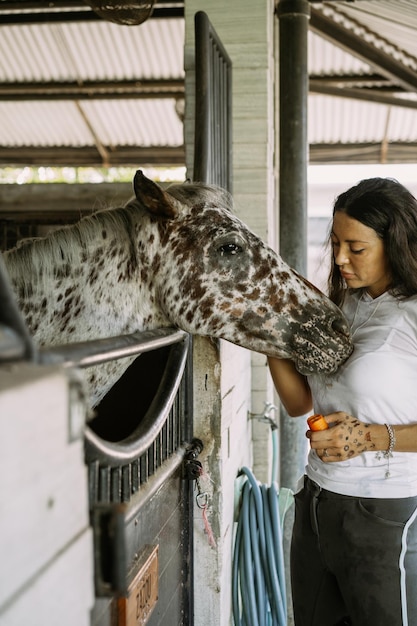 Una mujer joven alimenta a un caballo con zanahorias.