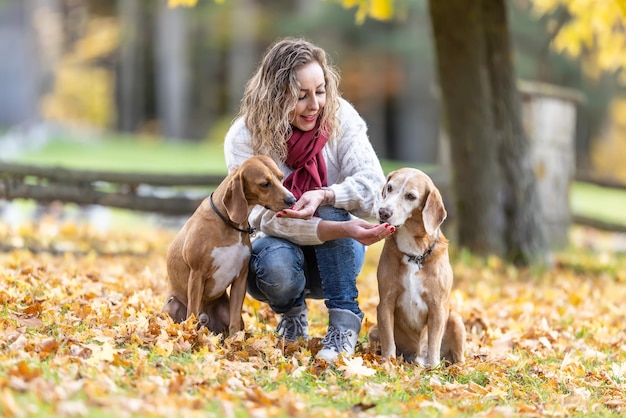 Una mujer joven alimenta a sus dos perros con golosinas por comportamiento obediente en el parque de otoño