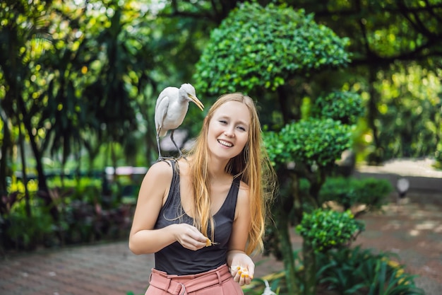 Mujer joven alimentando ibes en el parque Garceta común Garcilla bueyera Bubulcus ibis Waters Edge