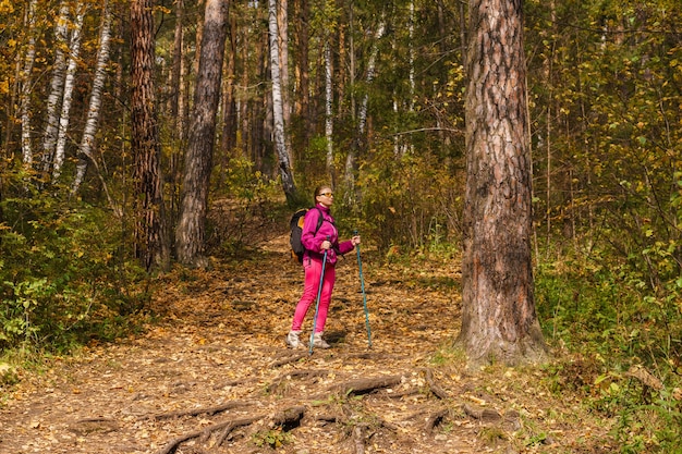 Mujer joven con bastones para caminar y una mochila se dedica al trekking en el bosque de otoño