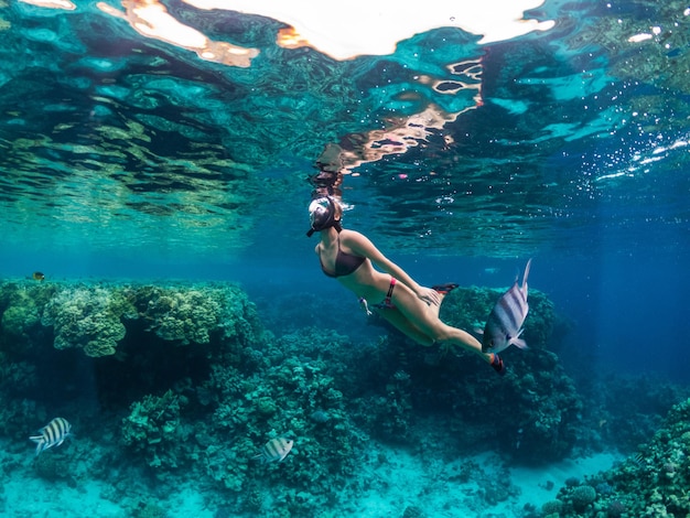 Mujer joven buceando en el arrecife de coral en el mar tropical