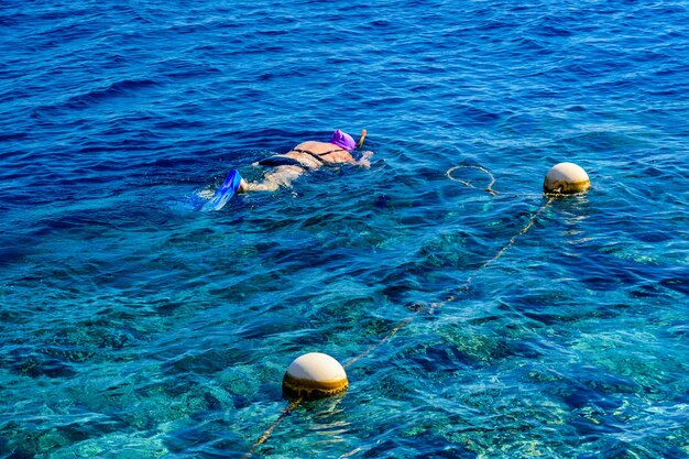 Mujer joven buceando en un Mar Rojo. concepto de vacaciones de verano