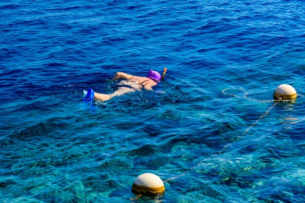 Mujer joven buceando en un mar rojo Concepto de vacaciones de verano