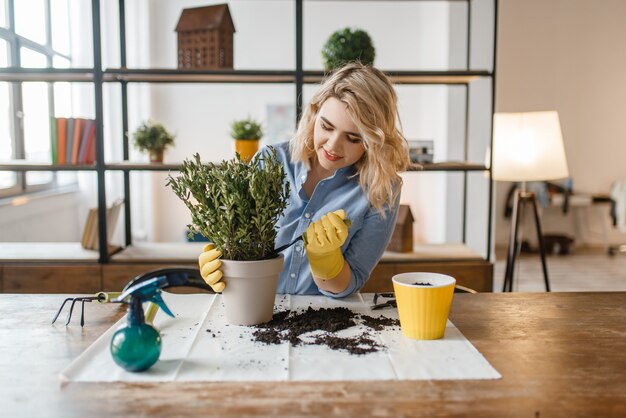 Mujer joven cambia el suelo en plantas caseras