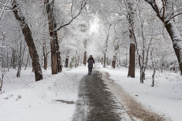 Mujer joven caminando entre árboles cubiertos de nieve en el parque de la ciudad Cuento de hadas de invierno