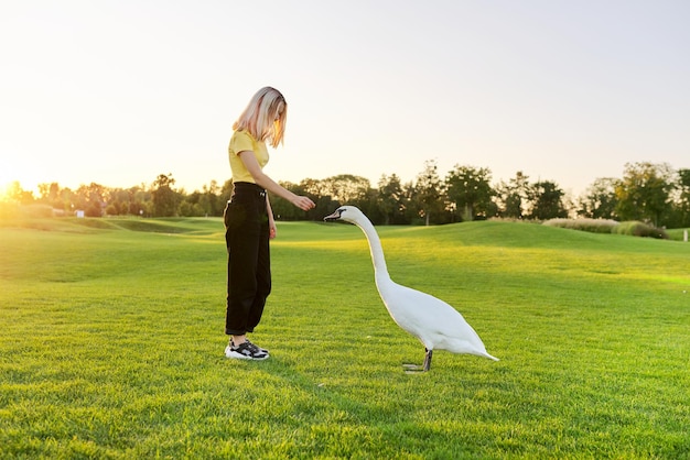 Mujer joven y cisne, adolescente junto con cisne en césped verde, fondo de puesta de sol de naturaleza