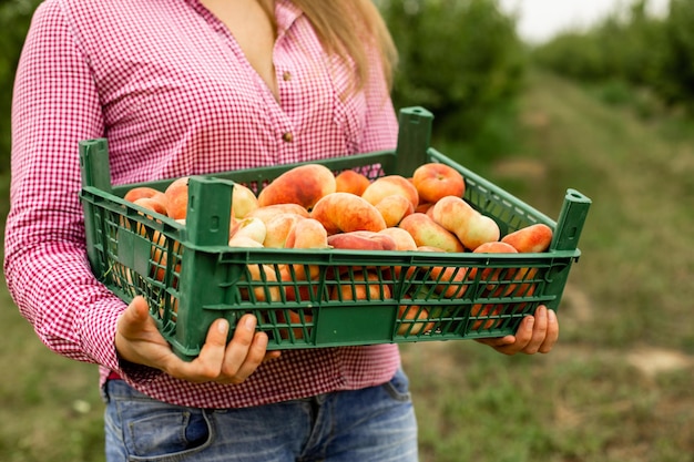 Mujer joven comprando frutas frescas en la granja local