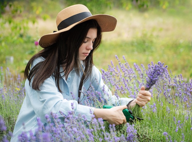 Mujer joven cortando racimos de lavanda