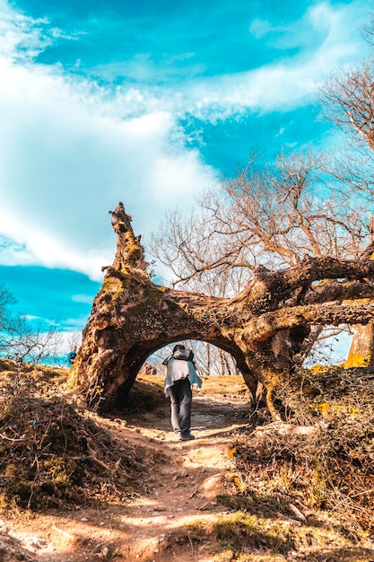 Una mujer joven en cuclillas a través de un túnel de un árbol en el camino del Monte Adarra en Guipúzcoa