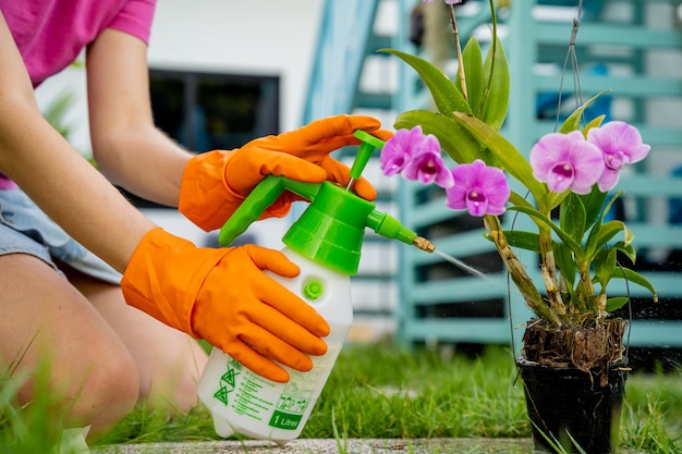 Foto una mujer joven cuida del jardín, rega, fertiliza y prune las plantas.