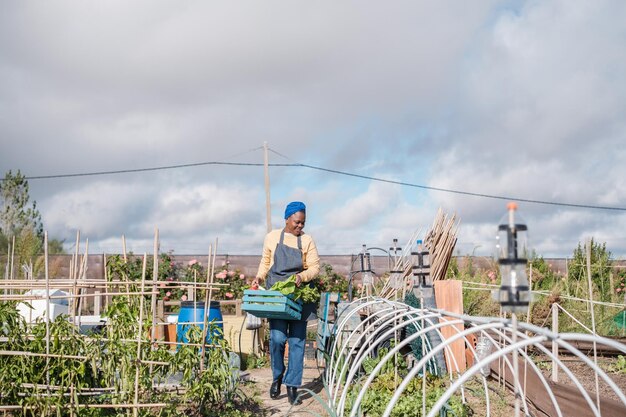 Mujer joven cuidando y cosechando verduras en su pequeño jardín para consumir en casa