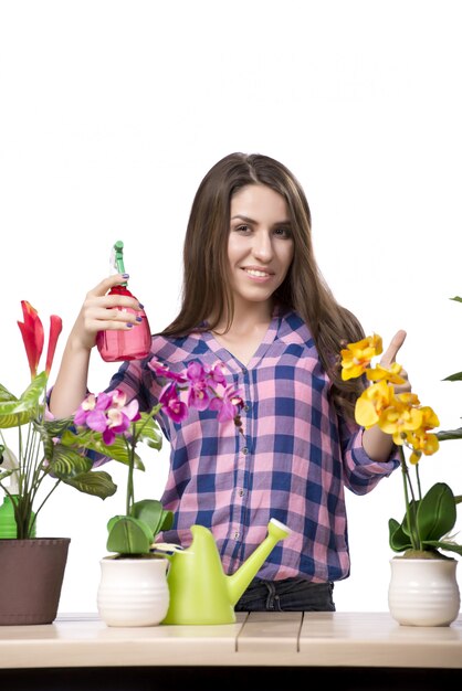 Mujer joven cuidando de las plantas caseras