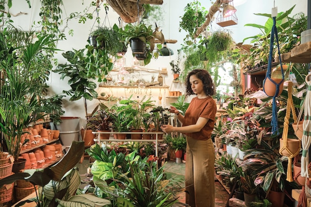 Mujer joven cuidando de las plantas mientras trabaja en el jardín