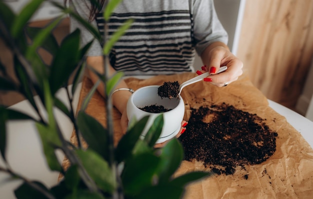 Mujer joven cuidando su planta en casa