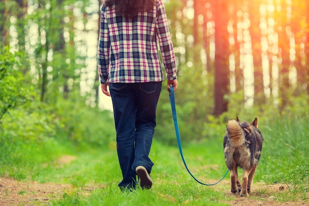 mujer joven, con, ella, perro, ambulante, en, el, bosque