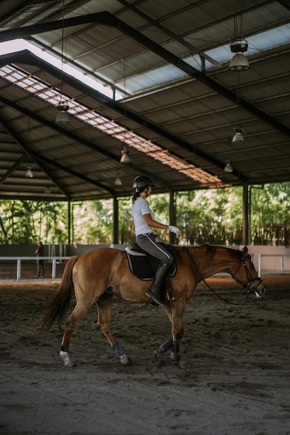 Mujer joven entrena en paseos a caballo en la arena. Joven mujer caucásica con ropa formal montando a caballo por la arena. Un caballo de pedigrí para el deporte ecuestre. La deportista a caballo