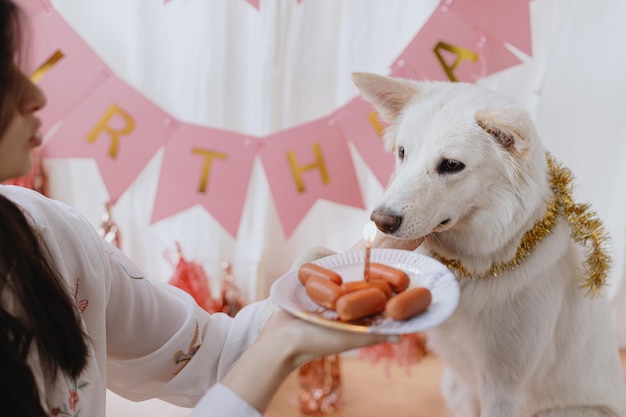 Mujer joven feliz celebrando el cumpleaños del perro con pastel de salchicha y velas en la habitación con guirnalda rosa