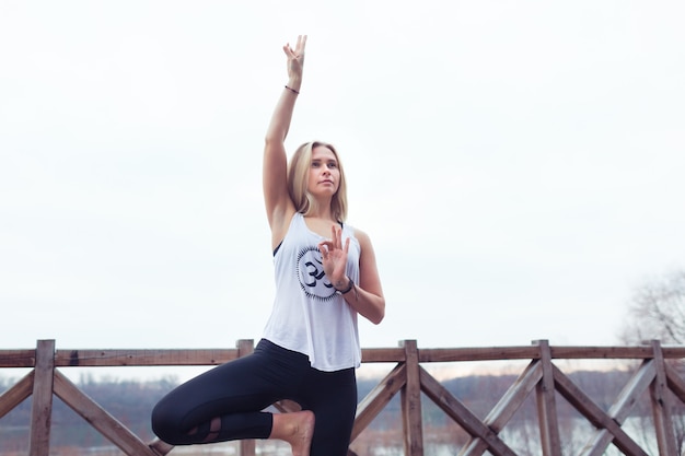 Mujer joven fitness haciendo ejercicio de yoga en la naturaleza en la puesta del sol Tree Pose Vrksasana vista posterior