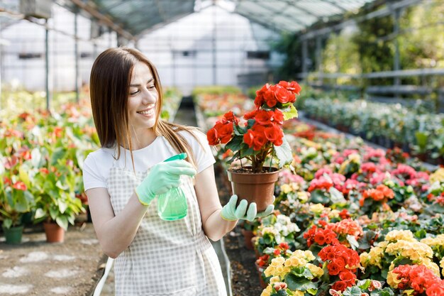 Mujer joven florista rociando agua sobre plantas de interior en macetas con rociador