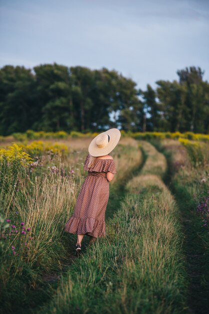 La mujer joven hermosa en un sombrero y un vestido camina en naturaleza en otoño.