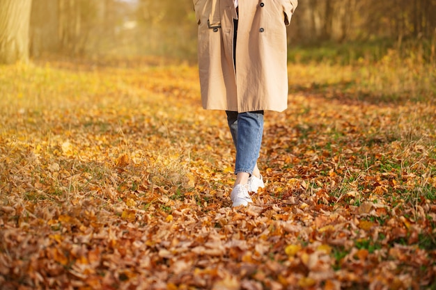 Una mujer joven con un impermeable camina en el parque con su perro en un día de otoño