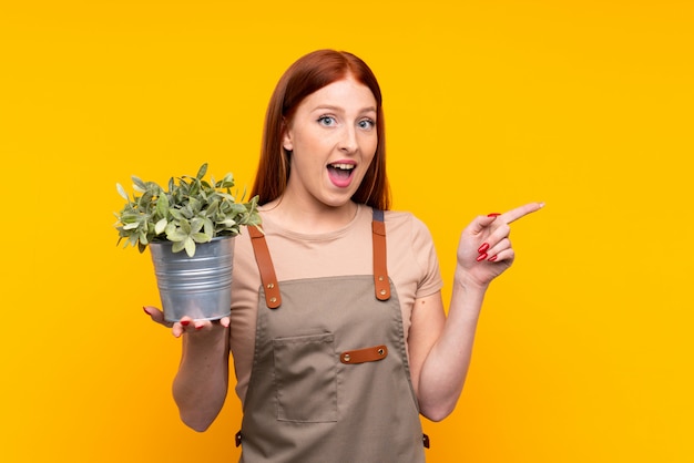 Mujer joven jardinero pelirrojo sosteniendo una planta sobre pared amarilla aislada sorprendido y apuntando con el dedo hacia un lado