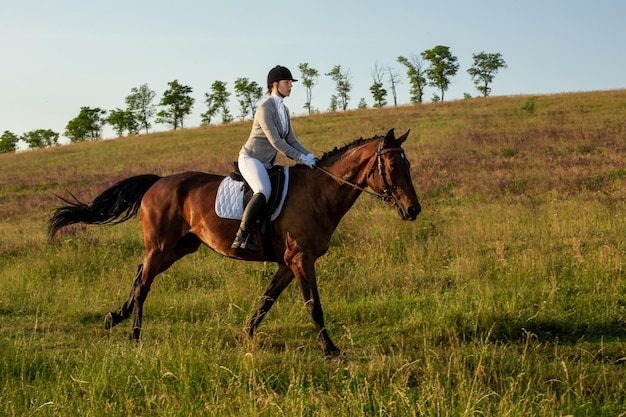 Mujer joven jinete con su caballo en la luz del atardecer. Fotografía al aire libre en estado de ánimo de estilo de vida. Equitación. Equitación. Las carreras de caballos. Jinete sobre un caballo.